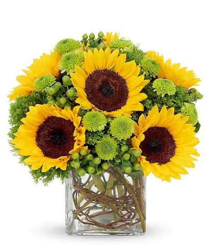 SUNFLOWER BLAST BOUQUET