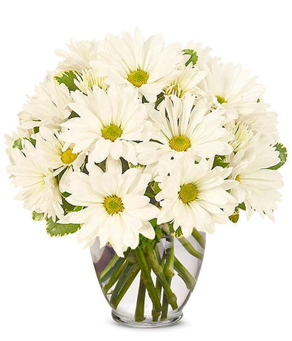 Pushing Daisy Bouquet